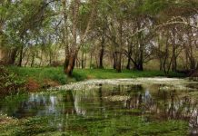 Nuevas Reservas de la Biosfera: La Siberia, Alto Turia y Valle del Cabriel