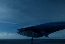 Requiem 2019: la última ballena conoce a su peor enemigo… el hombre
