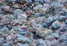 Por un día a día sin bolsas de plástico Día Internacional sin Bolsas de Plástico