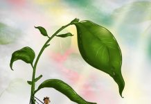 El récord será aún mayor: Etiopía tendrá 4.000 millones de árboles más en diciembre Cartel del proyecto Green Legacy en Etiopía