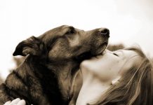 El estrés de tu perro refleja tu propio estrés El estrés de tu perro refleja tu propio estrés