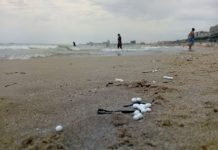 Denuncian grandes cantidades de residuos de poliestireno en una playa de Tarragona Restos de esferas de porexpan en una playa