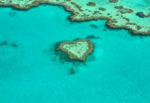 La Gran Barrera de Coral camino de entrar en la lista de «espacios en peligro» Vista aérea de arrecife con forma de corazón de la Gran Barrera de Coral
