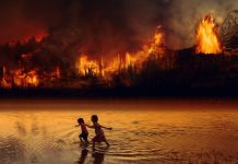 «Nuestros bosques se mueren». Manifiesto internacional frente a la ola de incendios Bosque incendiado frente a un río con niños corriendo
