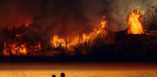 Bosque incendiado frente a un río con niños corriendo