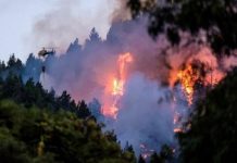 La virulencia y dificultad de extinción de los incendios en Canarias hace evidente la emergencia climática Servicios de extinción tratando de apagar un fuego en Canarias