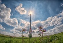 ¿El futuro energético de Europa? Si queremos puede ser renovable al cien por cien Molino eólico en pradera verde con flores y sol al fondo
