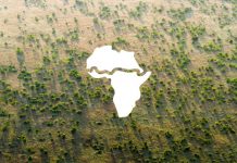 La Gran Muralla Verde de África: colosal proyecto frente a la crisis climática y las migraciones masivas Vista aérea de plantación de bosque frente al desierto