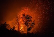 Niños que acuden a la «casa del oxígeno» en una Indonesia arrasada por los fuegos Incendio arrasando un bosque en Indonesia