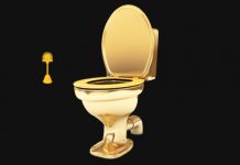 Premios Escobilla de Oro: Ayuda a elegir a las empresas con mayor historial de abusos Escobilla de oro y retrete de oro, dorados ambos
