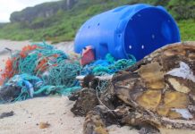 640 mil toneladas de redes abandonadas anualmente son trampa mortal de miles de animales Tortuga ahogada en red de pesca en una playa al lado de restos de plástico