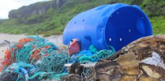 Tortuga ahogada en red de pesca en una playa al lado de restos de plástico