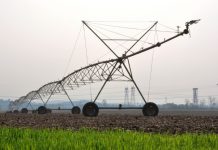 2.500 expertos advierten a la UE: la PAC crea desiertos verdes de monocultivos intensivos e inhabitables