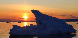 Trozo de hielo ártico derritiéndose con el sol al fondo