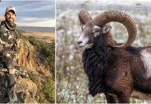 Trump Junior se va a Mongolia a cazar y mata una especie protegida Donald Trump hijo con rifle antes de cazar argalí, un animal protegido