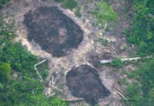 Brasil avanza hacia la explotación sin barreras del Amazonas