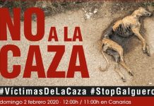 «No a la Caza»: Manifestación este domingo 2 de febrero Cartel de Manifestación Contra la Caza - No a la caza