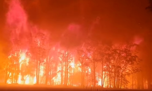 Intenso incendio en bosque australiano