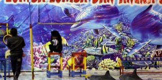 Delfines fuera del agua sobre una pista de circo en Indonesia