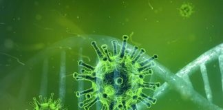 Dudas sobre el efecto de la cloroquina frente al coronavirus