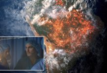 Paciente: la Madre Tierra, cortometraje con Joaquin Phoenix por el planeta Vista aérea, desde satélite, del Amazonas ardiendo en película con Joaquin Phoenix y Oona Chaplin