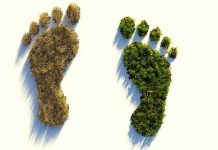 Huella Ecológica: propuestas didácticas Vegetación recortada con forma de pie humano