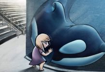 El lugar para las orcas no es un acuario: es el océano