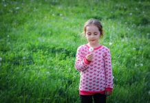 «Sin justicia de género, no habrá justicia ambiental ni social» Niña en un prado verde sostiene una flor con pétalos blancos