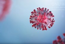 «Coronavirus: un mensaje de la naturaleza» Representación gráfica del coronavirus
