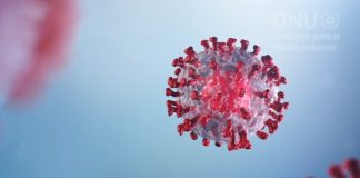 «Coronavirus: un mensaje de la naturaleza» Representación gráfica del coronavirus