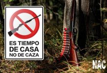 «No a la Caza durante el estado de alarma», reclaman las asociaciones ecologistas
