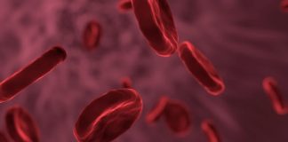 Estudio revela como sangre de pacientes recuperados puede beneficiar a pacientes de Covid-19 Representación gráfica de glóbulos rojos
