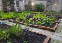 En apoyo de la producción local y sostenible Pequeños huertos delimitados por bloques de piedra