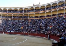 Diputados se movilizan contra posibles ayudas económicas al sector taurino Vista parcial de arena y gradas de plaza de toros
