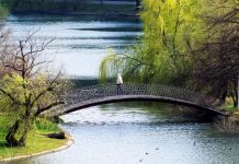 Un 30% más de espacios verdes en una gran ciudad salva muchas vidas Anciano cruza un puente sobre lago o río en un parque