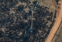 El gobierno brasileño admite que la deforestación se ha disparado en la Amazonia Zona deforestada por incendios en la Amazonia