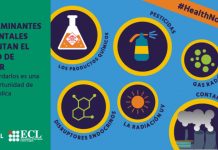 Los contaminantes ambientales aumentan el riesgo de cáncer