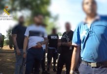 83 denunciados por reunirse a apostar en una pelea de gallos ilegal