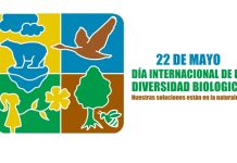 Día Mundial de la Diversidad Biológica