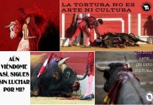 Propuesta para impedir por ley emisión de violencia contra animales en horario infantil
