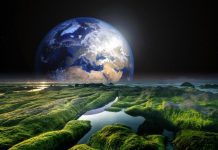 Huella ecológica o huella ambiental y Día de Sobrecapacidad
