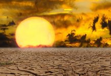 La UE espera 60.000 muertes anuales más por calor si no se respetan los Acuerdos de París