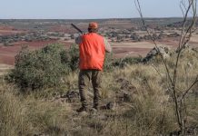 El ecologismo apoya la subida de las «irrisorias» sanciones a cazadores en Cataluña