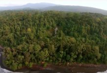 PNUMA y SuncineFest ofrecen documentales en línea para celebrar el Día del Medio Ambiente