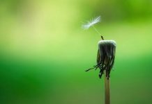 Mindfulness e hipnoterapia para casos de estrés intenso