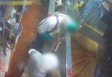 Denuncias por graves irregularidades a la industria del queso Roquefort