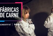 «Fábricas de carne»