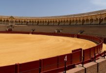 Mayoría de partidos aprueban en Aragón subvencionar sector taurino con 200.000 euros Plaza de toros vacía