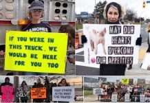 Indignación por la muerte de una activista canadiense atropellada frente a un matadero
