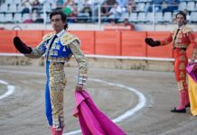Permitirán apoyar la matanza de toros a través del fondo de las «bellas artes»